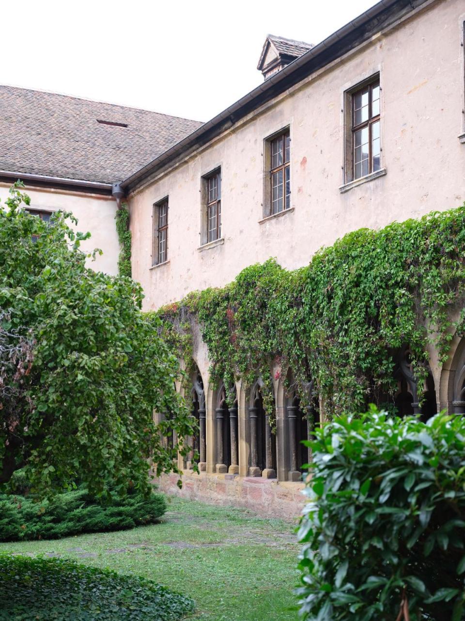 Les Suites Du Cygne Colmar Exterior foto